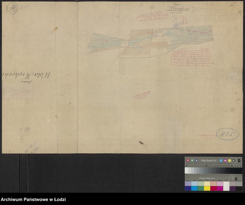 Obraz 1 z jednostki "Dobra Miedzno. Szkic do projektu wydzielenia przestrzeni leśnej w celu zaprowadzenie na niej gospodarstwa rybnego w dobrach Miedzno położonych"