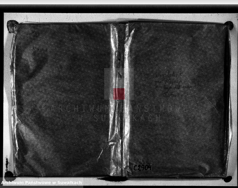 image.from.unit.number "P. Wiejsieje z roku 1865"