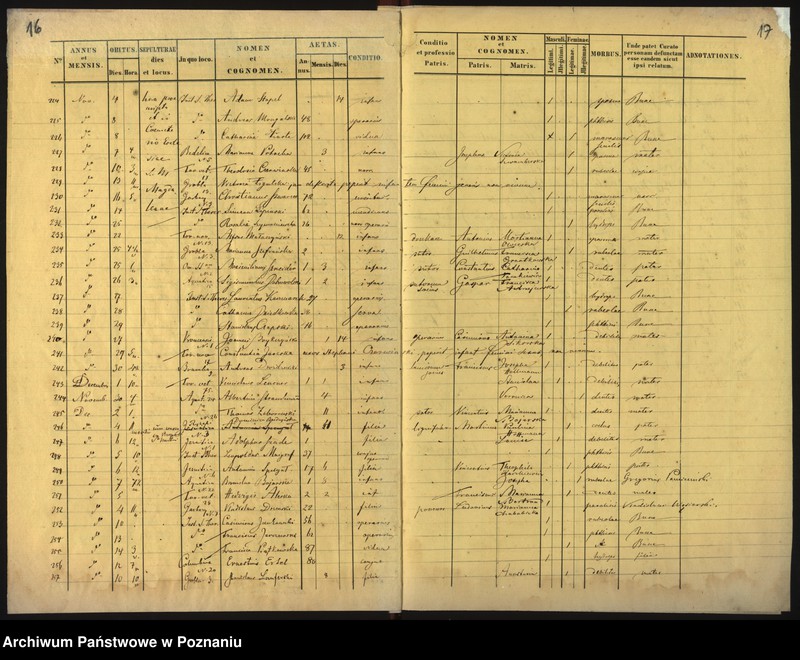 Obraz 11 z jednostki "Księga zgonów"