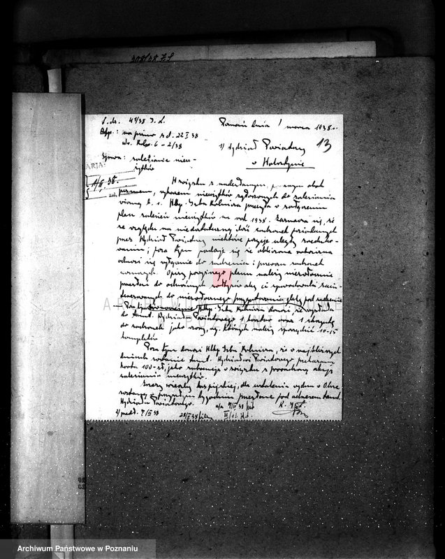 Obraz 20 z jednostki "Zalesienie nieużytków pod nadzorem Izby Rolniczej w powiecie wolsztyńskim"