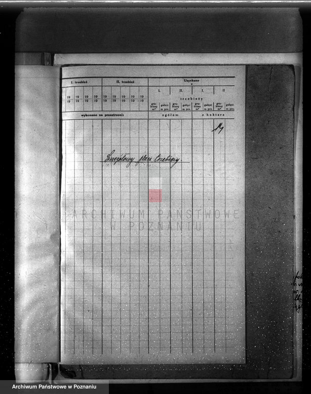image.from.unit.number "Plan urządzenia gospodarstwa leśnego dla lasu majętności Biezdrowo powiat szamotulski"