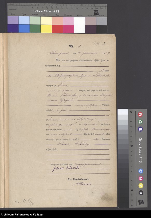 image.from.unit.number "[Księga urodzeń]"