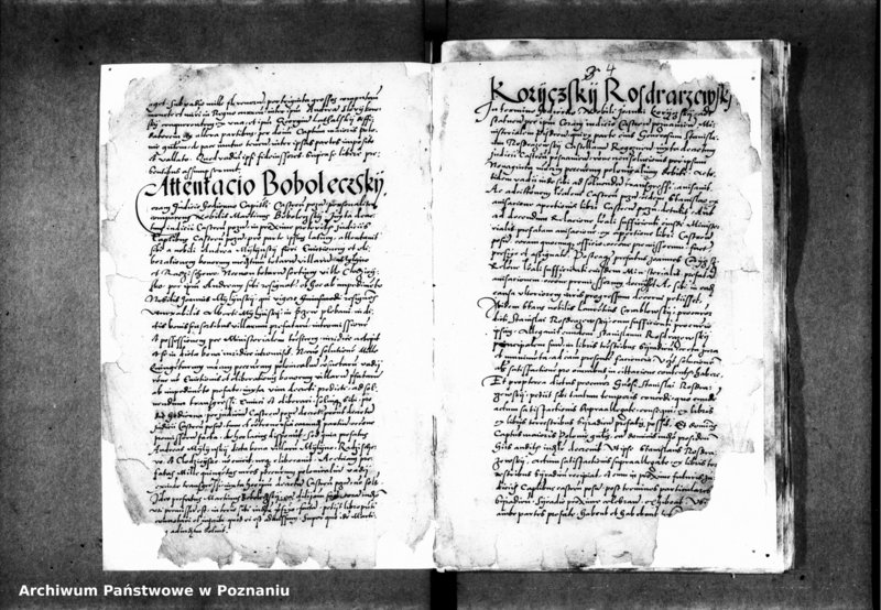 Obraz 8 z jednostki "Inscriptiones, relationes, decreta iudicii et officii [inducta]"