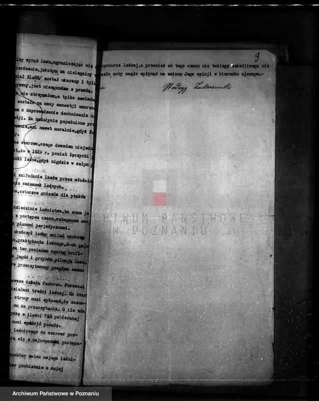 Obraz 13 z jednostki "Częściowa zmiana rodzaju użytkowania 5,83 ha gruntów leśnych w majątku Zalesin powiat turecki"