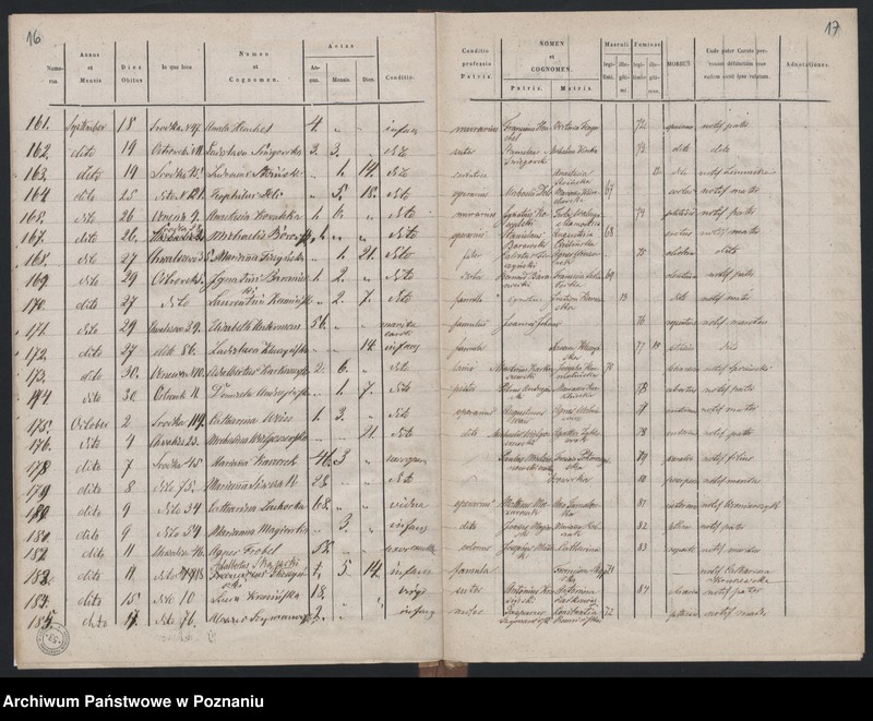 Obraz 11 z jednostki "Księga zgonów"