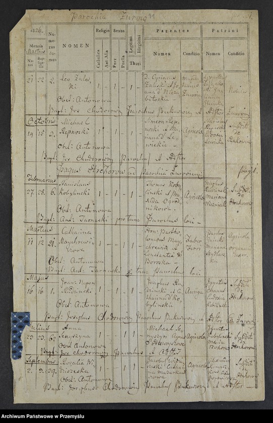 Obraz 13 z jednostki "[Odpisy ksiąg urodzeń, małżeństw, zgonów parafii rzymskokatolickiej Żurów z lat 1823-1827]"