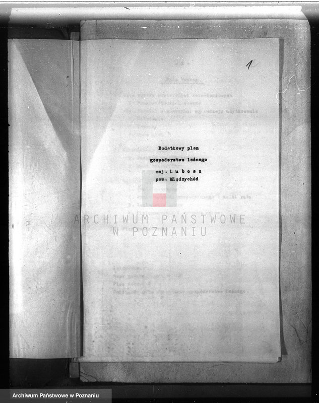 Obraz 3 z jednostki "Dodatkowy plan urządzania lasu dla lasu majątku Lubosz powiatu międzychodzkiego"