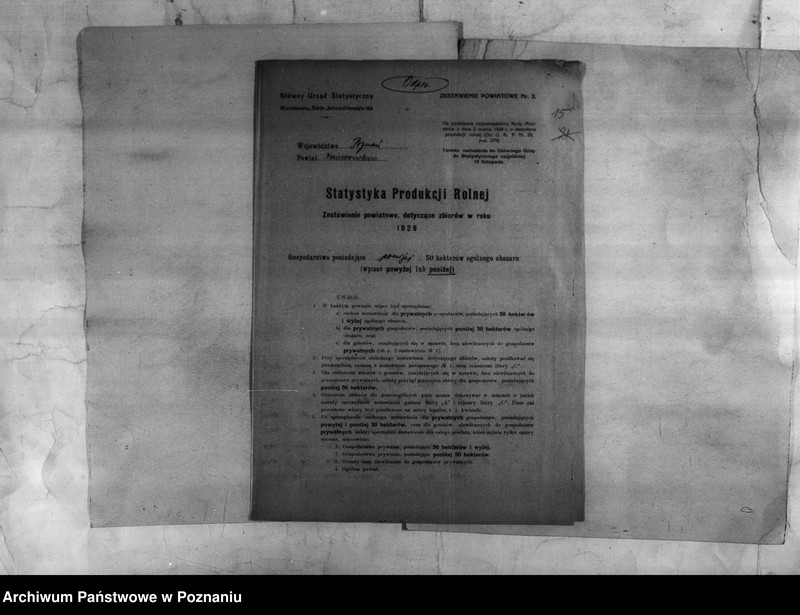 Obraz 16 z jednostki "/Statystyka produkcji rolnej - zestawienie powiatowe - Inowrocław/"