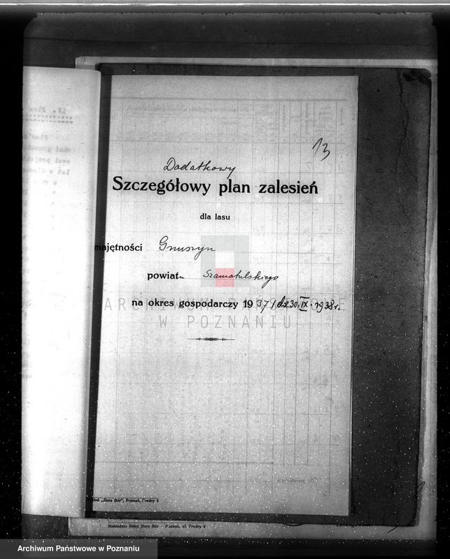 Obraz 17 z jednostki "Dodatkowy plan urządzenia gospodarstwa leśnego dla lasu majętności Grzuszyn powiat szamotulski"