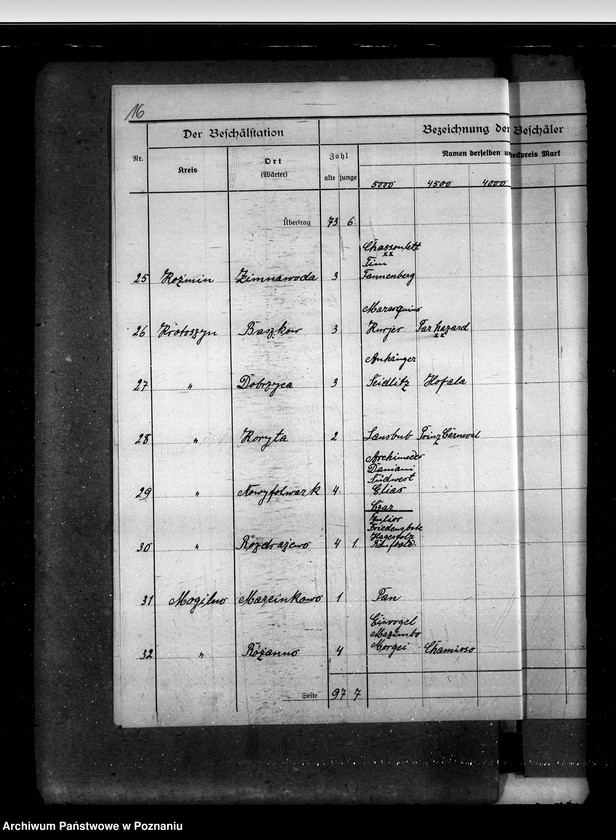 Obraz 20 z jednostki "Sprawy stadnin rozdział rządowych ogierów na stacjach"