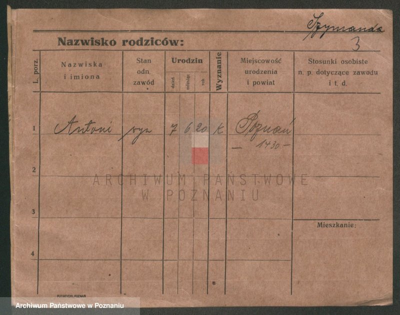 Obraz 9 z jednostki "Szymanda - Szymbowski"