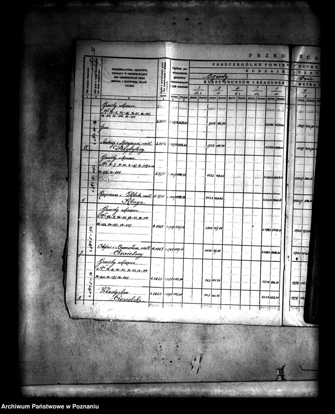 Obraz 7 z jednostki "Szczegółowy rejestr pomiarowo-szacunkowy wsi Spławie powiatu konińskiego przed scaleniem"