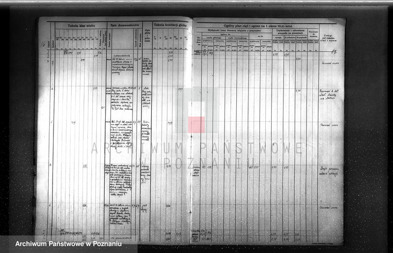 image.from.unit.number "Plan urządzenia gospodarstwa leśnego dla lasu majętności Rudki w powiecie szamotulskim 1929-1939"