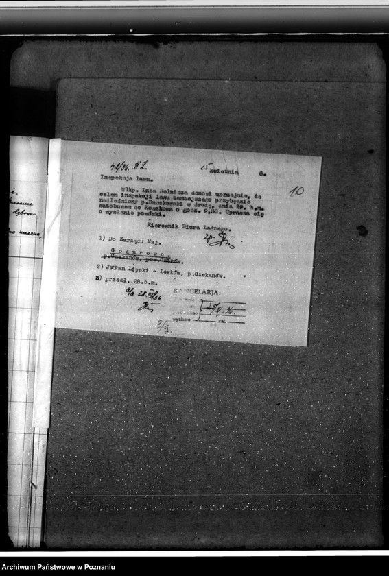 Obraz 14 z jednostki "Leśnictwo w Godurowie powiat gostyński"