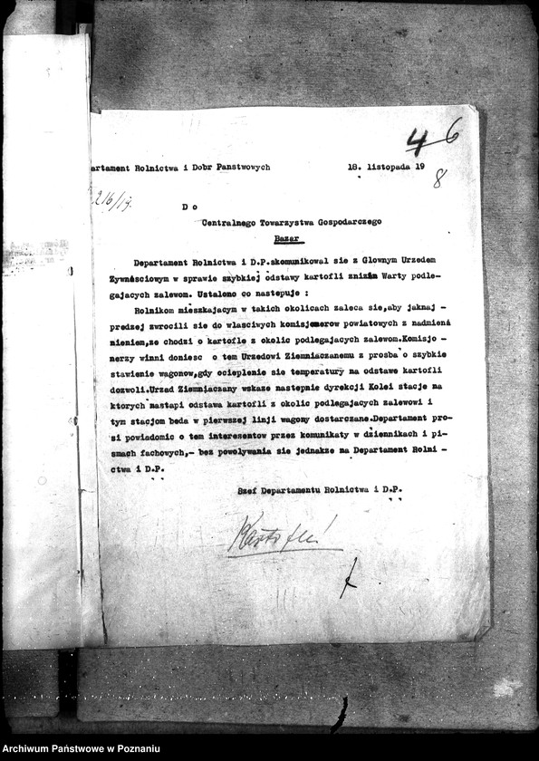 Obraz 12 z jednostki "Kartofle"