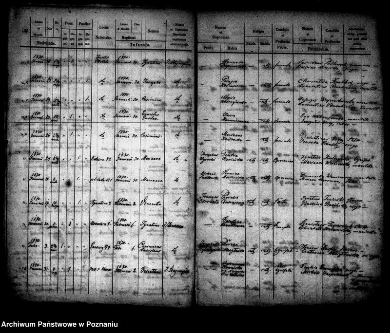 Obraz 5 z jednostki "Księga urodzin"