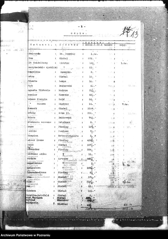 Obraz 17 z jednostki "Ziemiopłody"