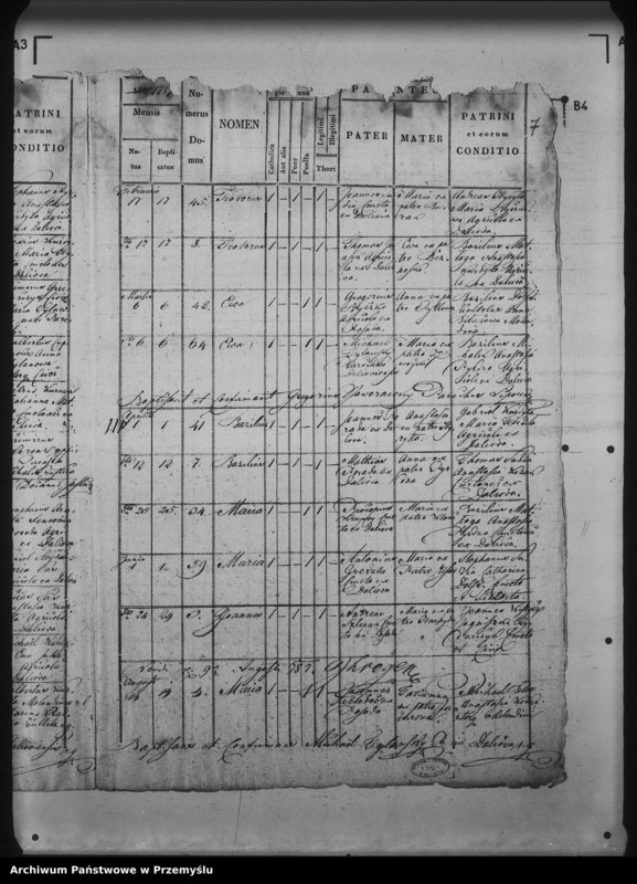 Obraz 11 z jednostki "[Kopie ksiąg metrykalnych parafii Daliowa z filią Szklary (dekanat Rymanów)]"