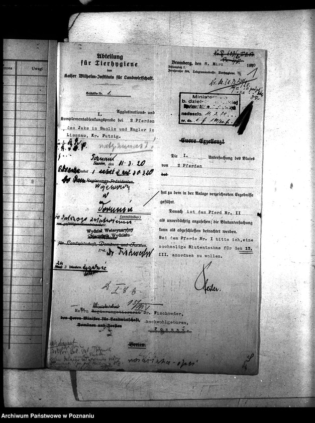 Obraz 5 z jednostki "Nosacizna - Puck"