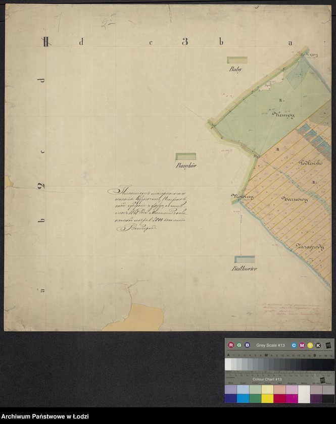 Obraz 1 z jednostki "Plan urządzenia majoratu Wolbórz"
