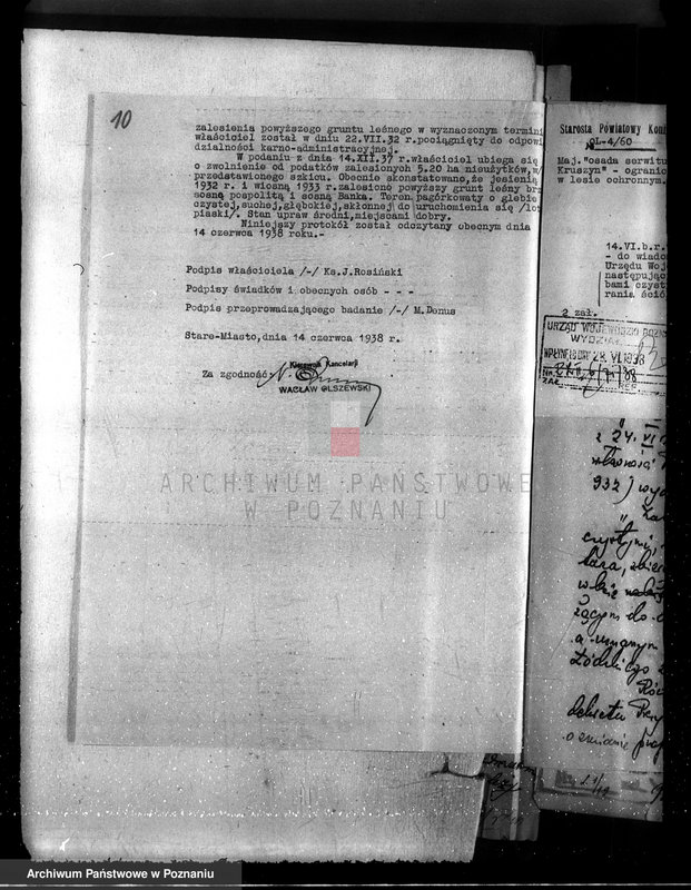 Obraz 14 z jednostki "Majątek Staremiasto powiat koniński /nadzór nad gospodarką leśną/"