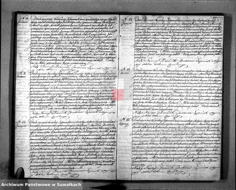 Obraz 18 z jednostki "D. Ł. Par. Leypuny 1861"
