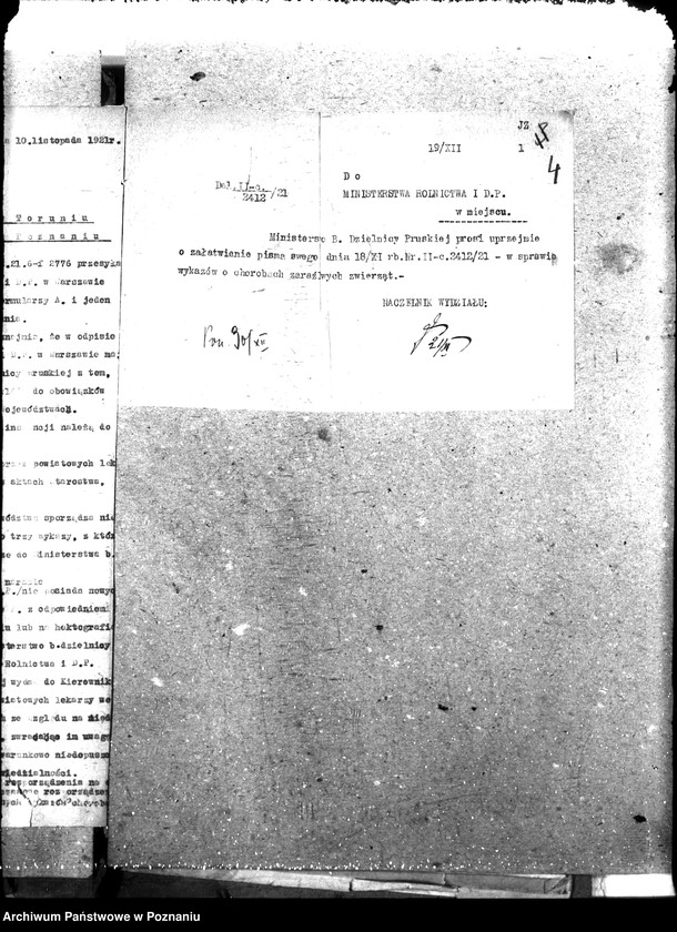 Obraz 8 z jednostki "Weterynaria"