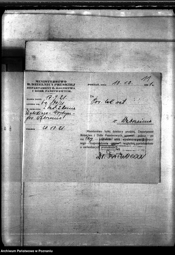 Obraz 15 z jednostki "Nosacizna - Wąbrzeźno"