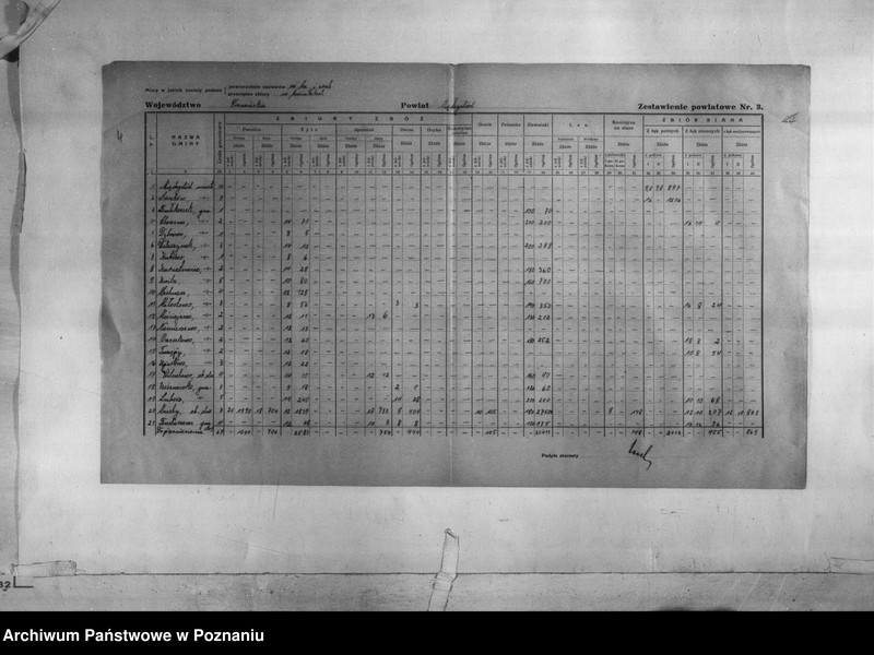 Obraz 6 z jednostki "/Statystyka produkcji rolnej - zestawienie powiatowe dotyczące zbiorów z terenu powiatu międzychodzkiego/"