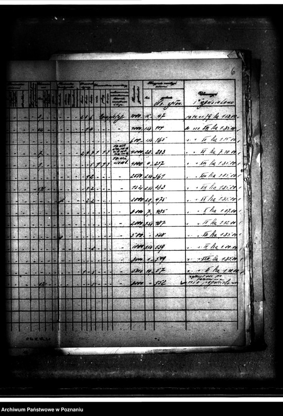Obraz 10 z jednostki "Wykaz zgłoszeń na nabycie ziemi z parcelacji majątku Białośliwie"