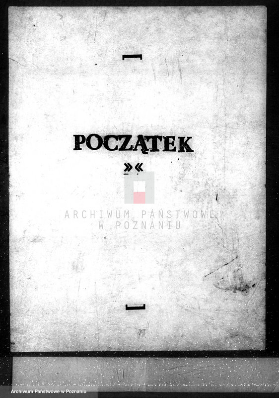 Obraz 3 z jednostki "/Nadzór nad gospodarką leśną gminy miasta Czarnkowa"