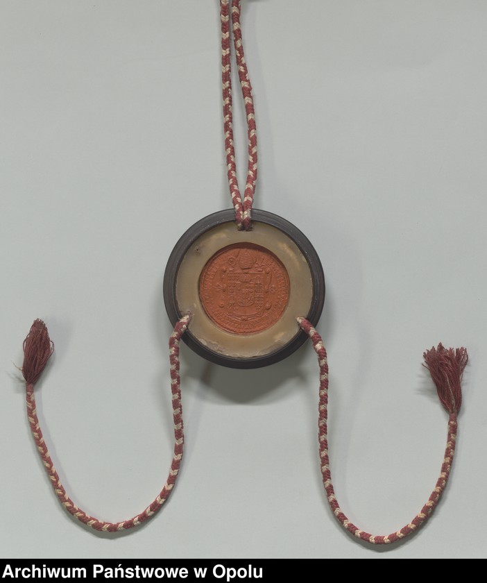 Obraz 14 z kolekcji "Futerał na dokumenty111"