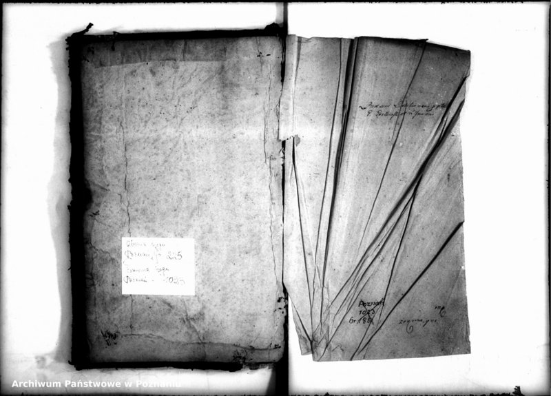 Obraz 3 z jednostki "Inscriptiones [inducta]"