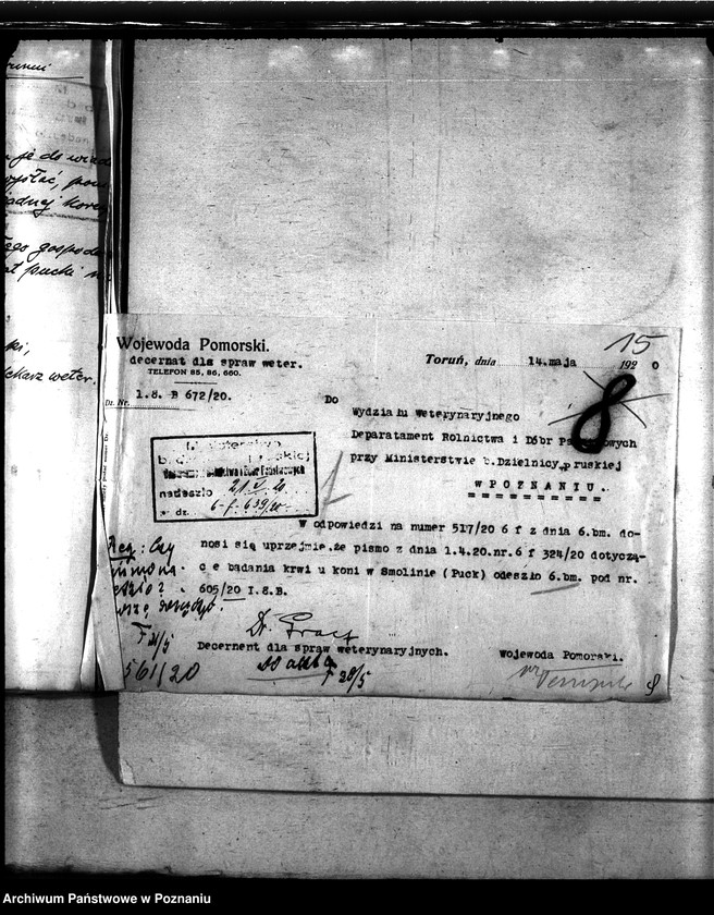 Obraz 19 z jednostki "Nosacizna - Puck"