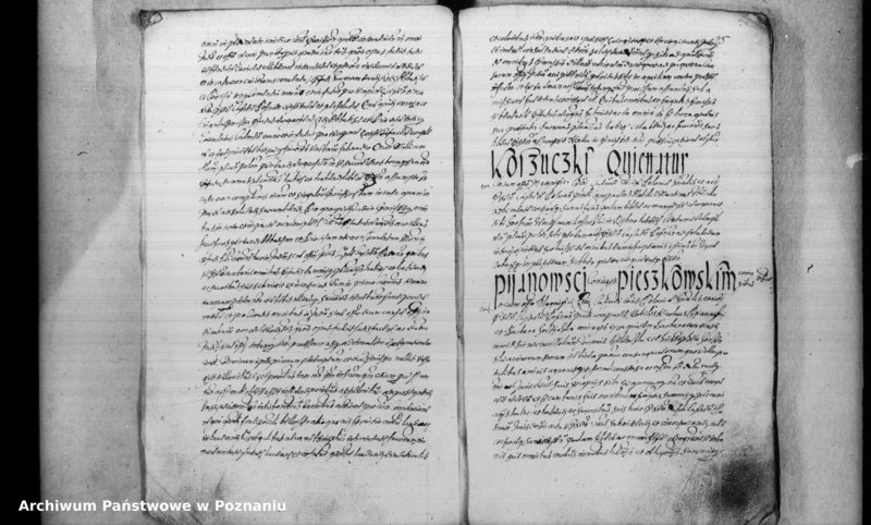 Obraz 8 z jednostki "Inscriptiones [inducta]"