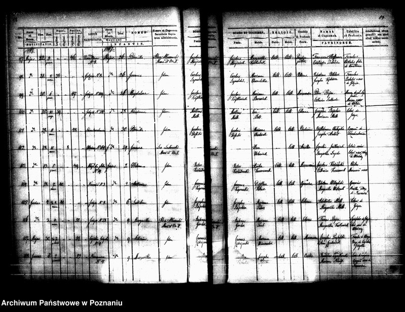 Obraz 12 z jednostki "Księga urodzin"