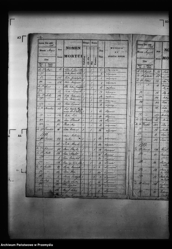 Obraz 13 z jednostki "[Kopie ksiąg metrykalnych parafii Zawadów (dekanat Niemirów)]"