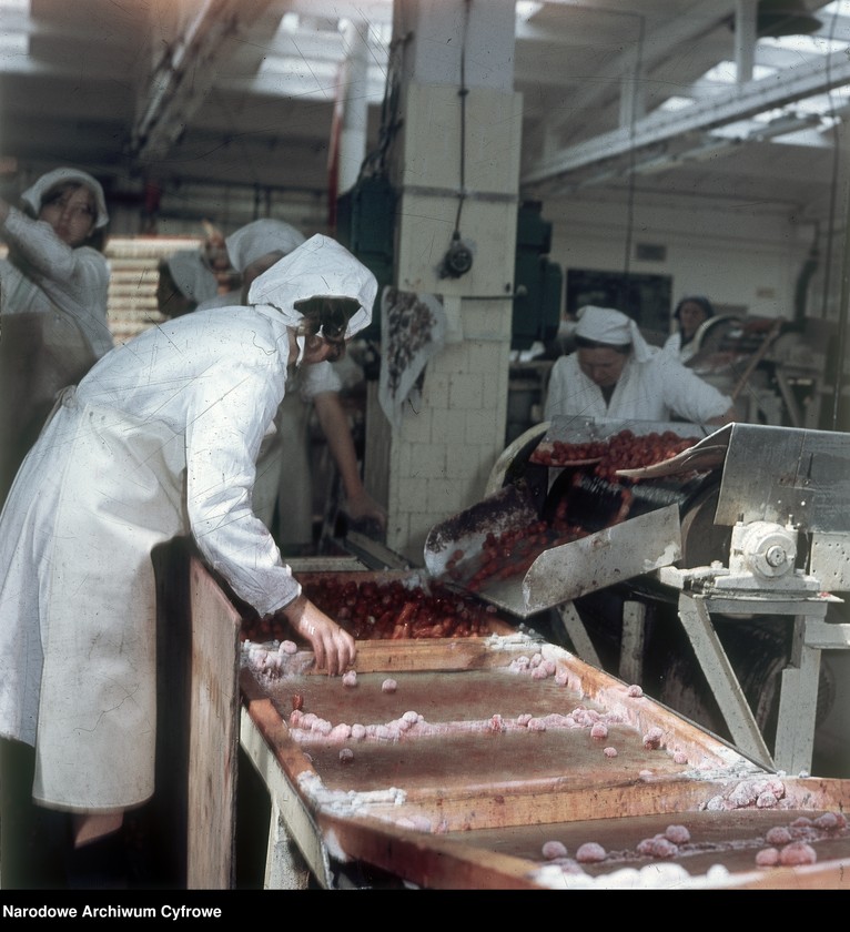 image.from.unit.number "Zakład produkcyjny Przedsiębiorstwa Handlu Zagranicznego "Hortex" w Górze Kalwarii"