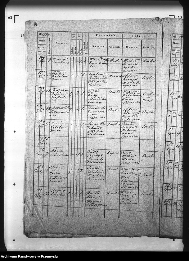Obraz 18 z jednostki "[Kopie ksiąg metrykalnych parafii Brzegi (dekanat Sambor)]"