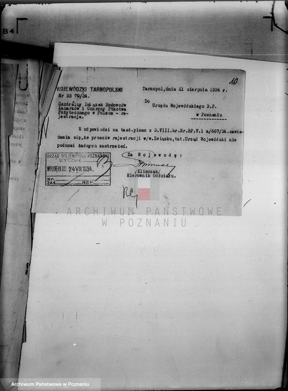 Obraz 15 z jednostki "/Centralny Związek Hodowców Kanarków i Ochrony Ptactwa Pożytecznego-Oddział w Poznaniu/"