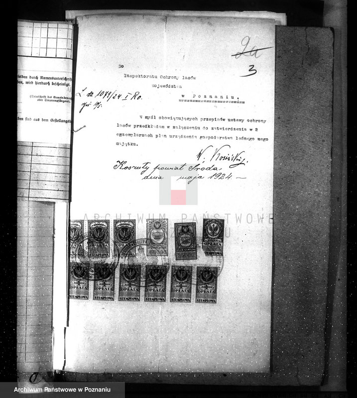 Obraz 7 z jednostki "Nadzór nad gospodarką w lasach majętności Koszuty powiat średzki"