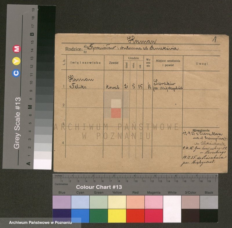 Obraz 1 z jednostki "Kosman - Kostasiak"