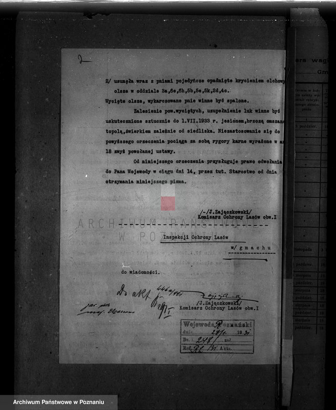 Obraz 6 z jednostki "Majętność leśna Uzarzewo powiat poznański"