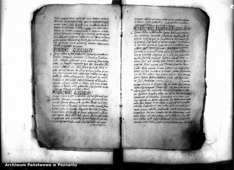 Obraz 11 z jednostki "Inscriptiones [inducta]"