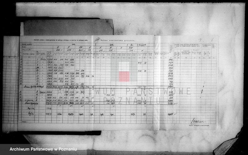 Obraz 13 z jednostki "Operat szacunkowy majątku Wyrza osada powiatu wyrzyskiego"