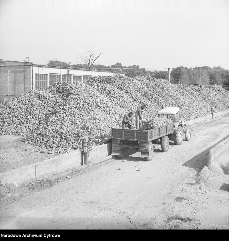 Obraz 10 z jednostki "Cukrownia "Michałów" w Lesznie koło Warszawy"
