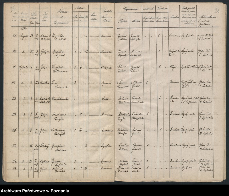 Obraz 15 z jednostki "Księga zgonów"