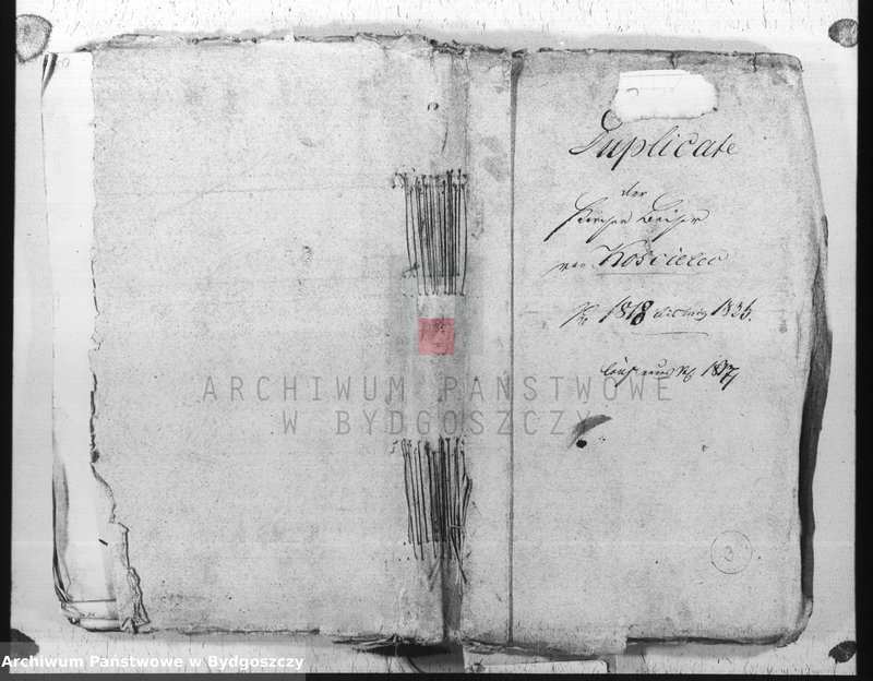 image.from.unit.number "Duplicate der Kirchen Bücher von Kościelec"