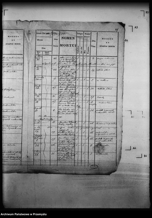 image.from.unit.number "[Kopie ksiąg metrykalnych parafii Wojkowa (dekanat Muszyna)]"