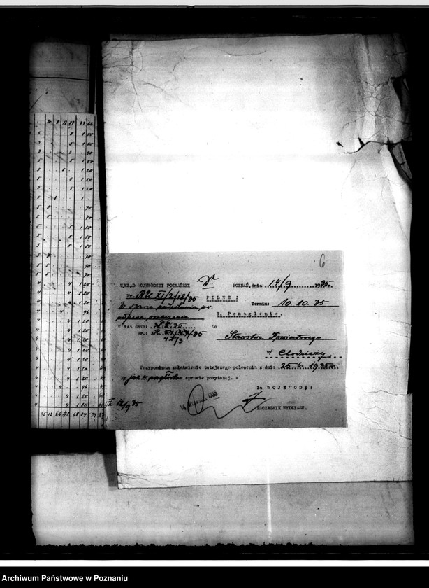 Obraz 9 z jednostki "Przewłaszczenie majątku Dziembowo, Byszki powiat chodzieski"